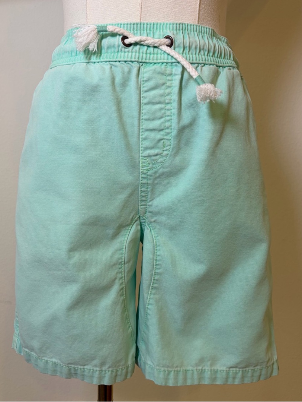 Cat & Jack Mint Green Cotton Shorts Size L (12/14)